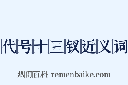 代号十三钗近义词是什么意思的图片